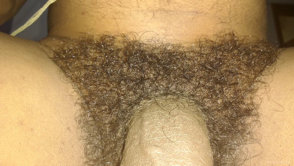 My Dick Pics - Hairy, fully Shaved and Erect Dick