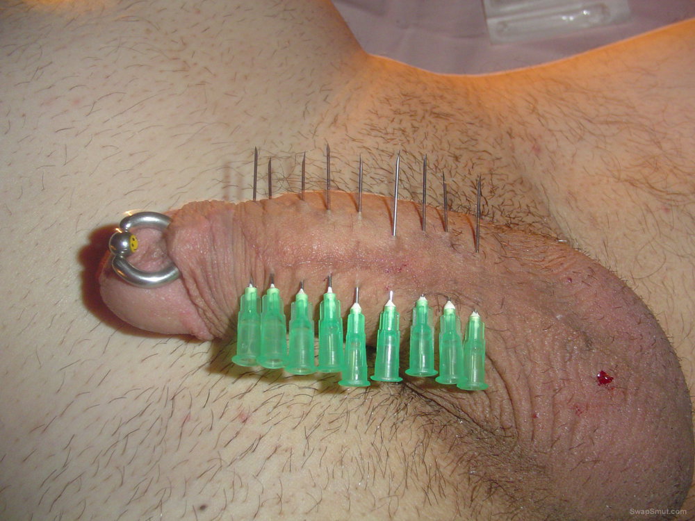 Showing off my extreme piercing cock to the swapsmut world