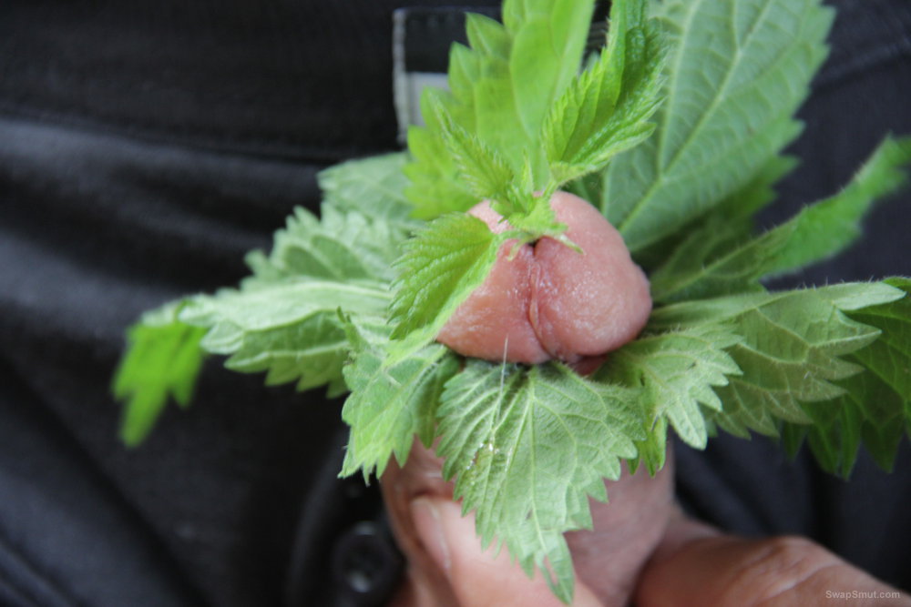 Nettle Porn - Stinging nettle Cock Fun I love the feel of it gives a real ...