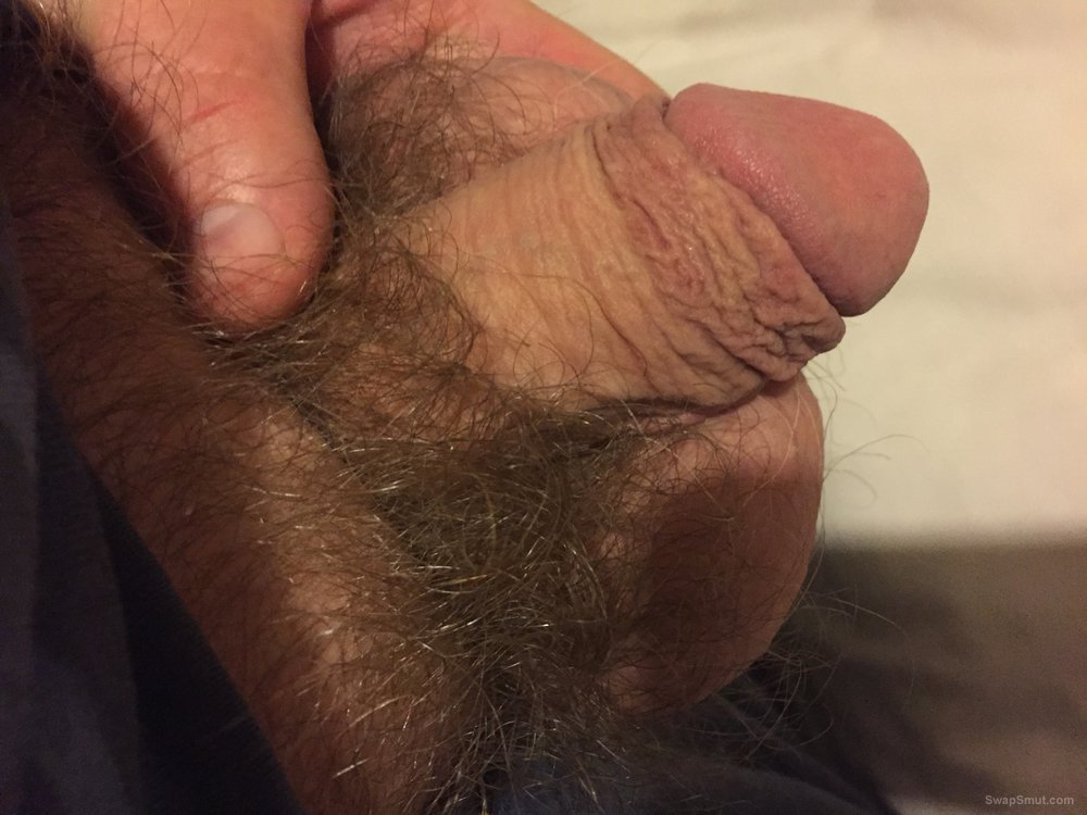 A few pictures of my small cock