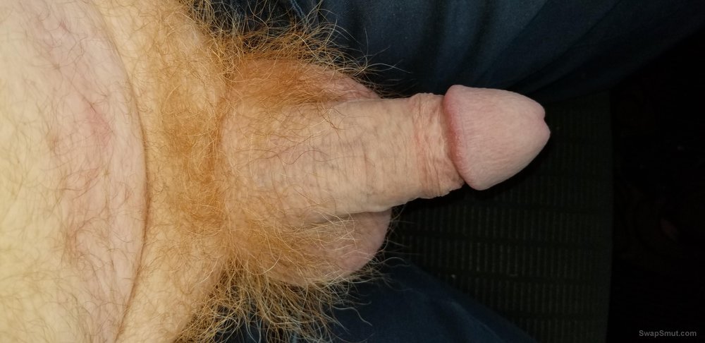 My hairy redheaded cock that needs women to suck and ride it